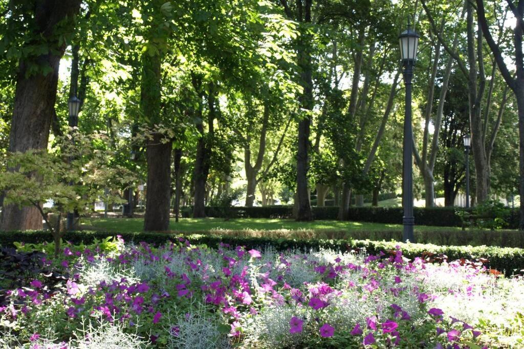 Larraina By Clabao Apartment Пампона Екстериор снимка